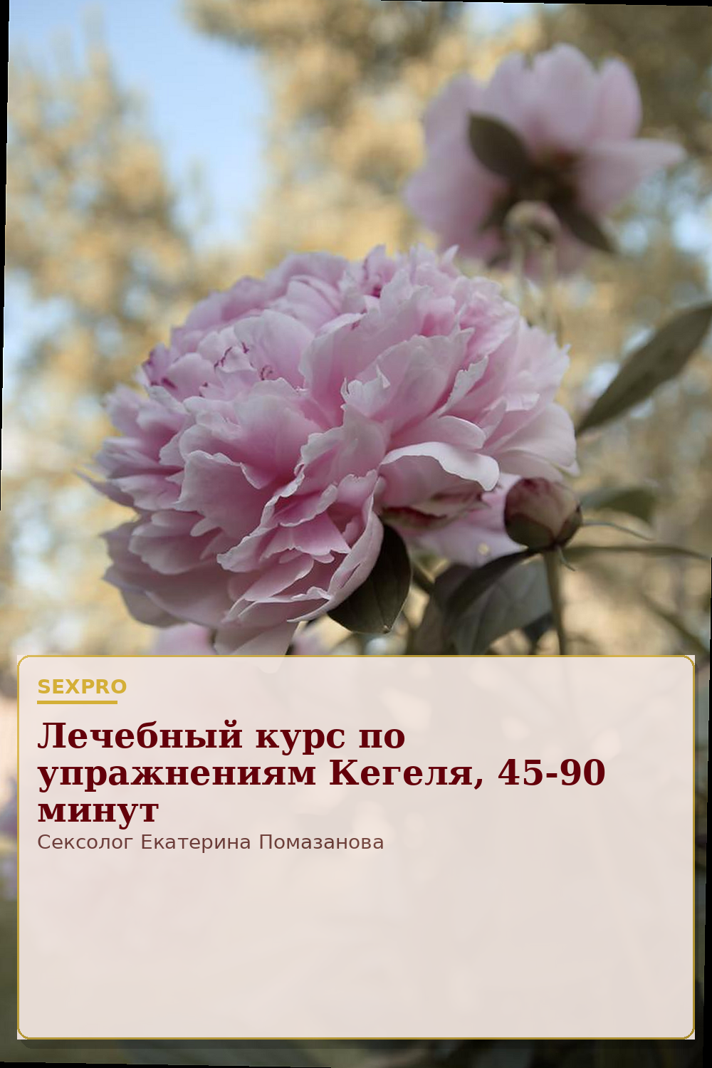 Лечебный курс по упражнениям Кегеля, 45-90 минут